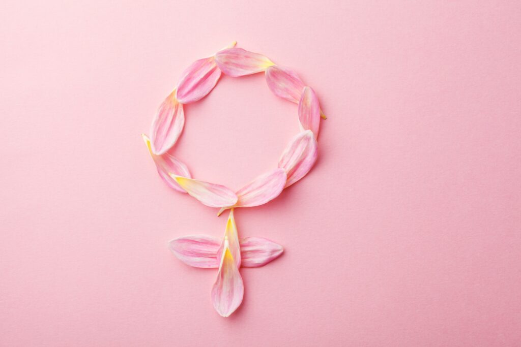 Gender Venus symbol made of beautiful flower petals on candy pink background